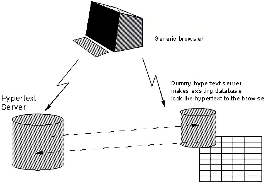 path between the database, the server and the browser